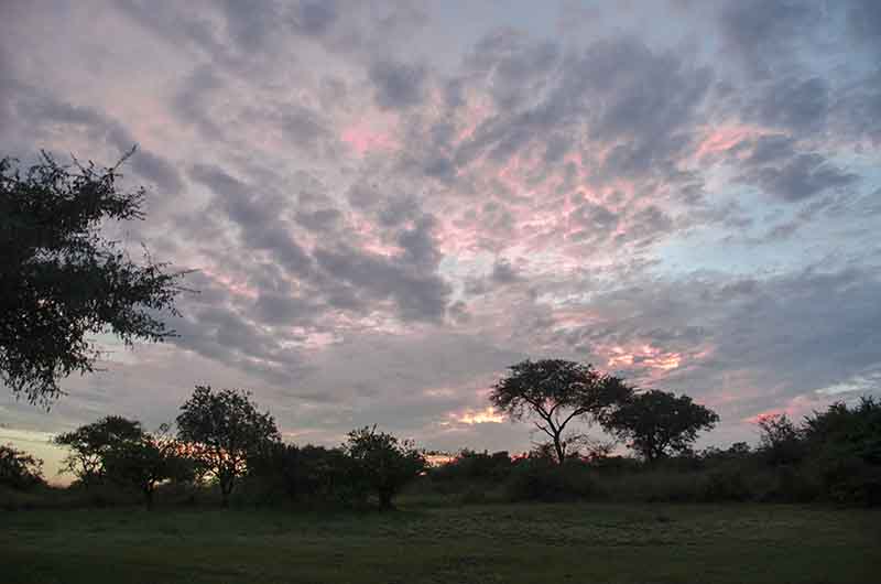 01 - Uganda - parque nacional de las cataratas Murchison - Bwana Tembo Lodge - amanecer